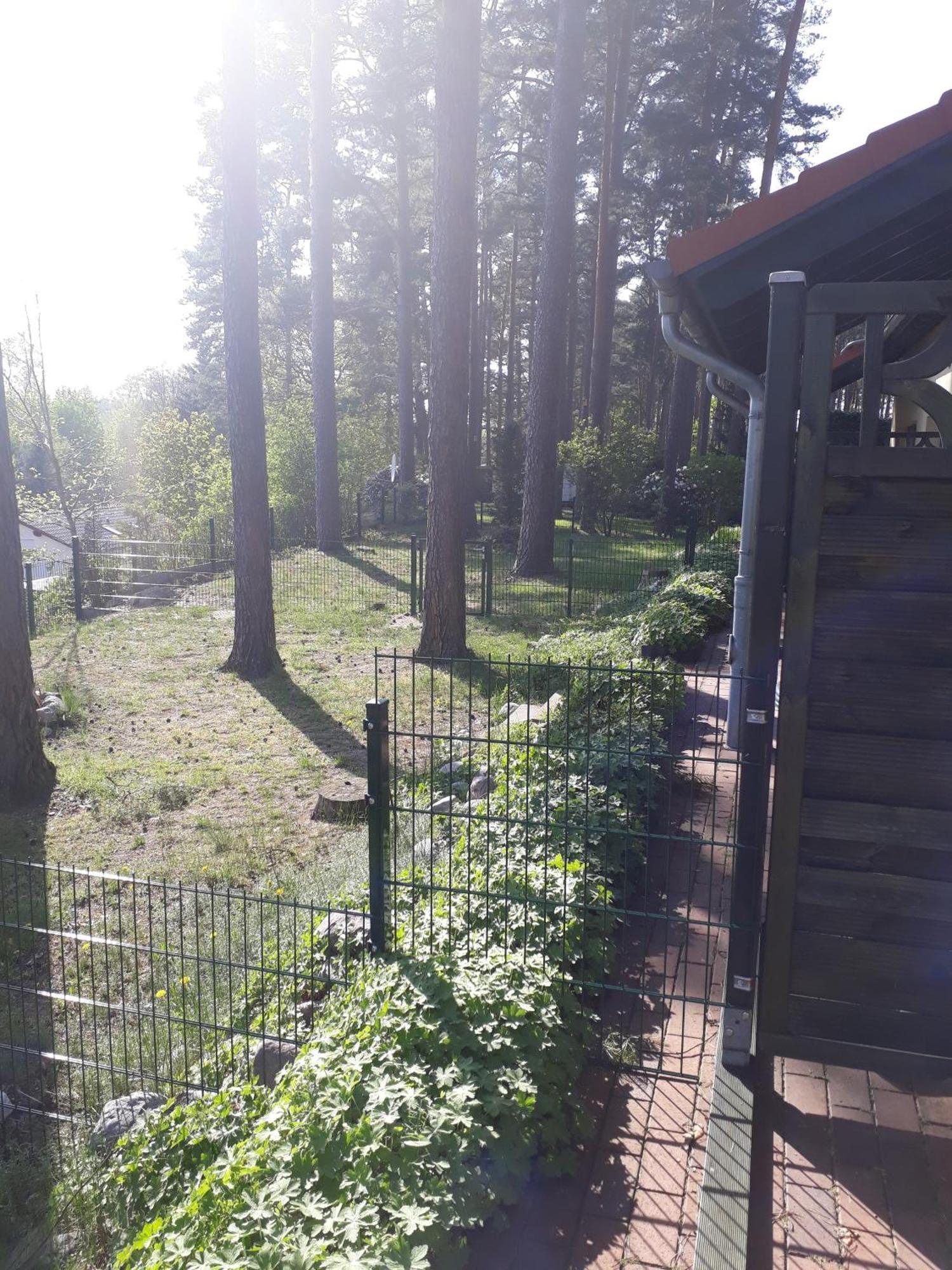 Ferienhaus Waldschneise B Am Jabeler See Dış mekan fotoğraf