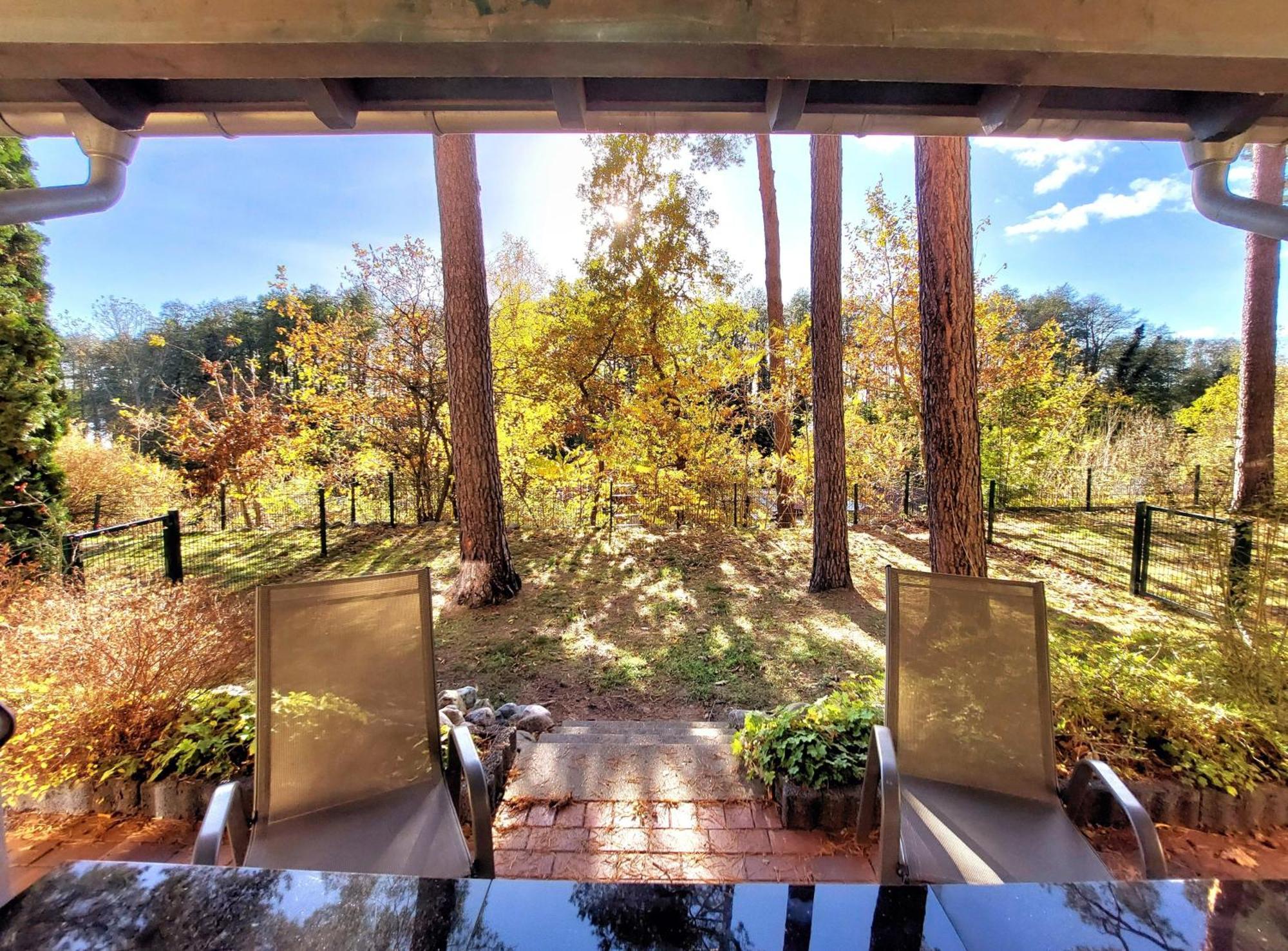 Ferienhaus Waldschneise B Am Jabeler See Dış mekan fotoğraf